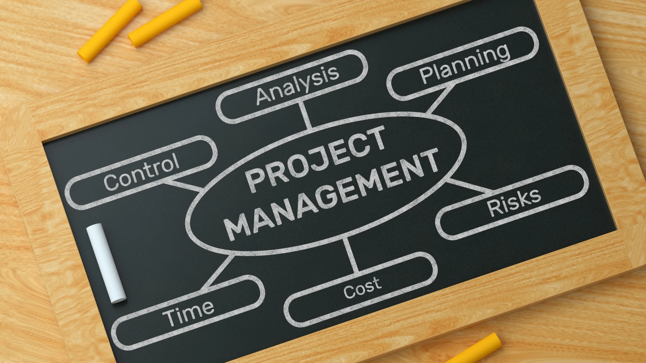 What is a Program Manager?